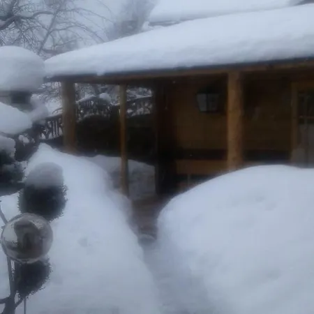 Haus Steixner Appartement *